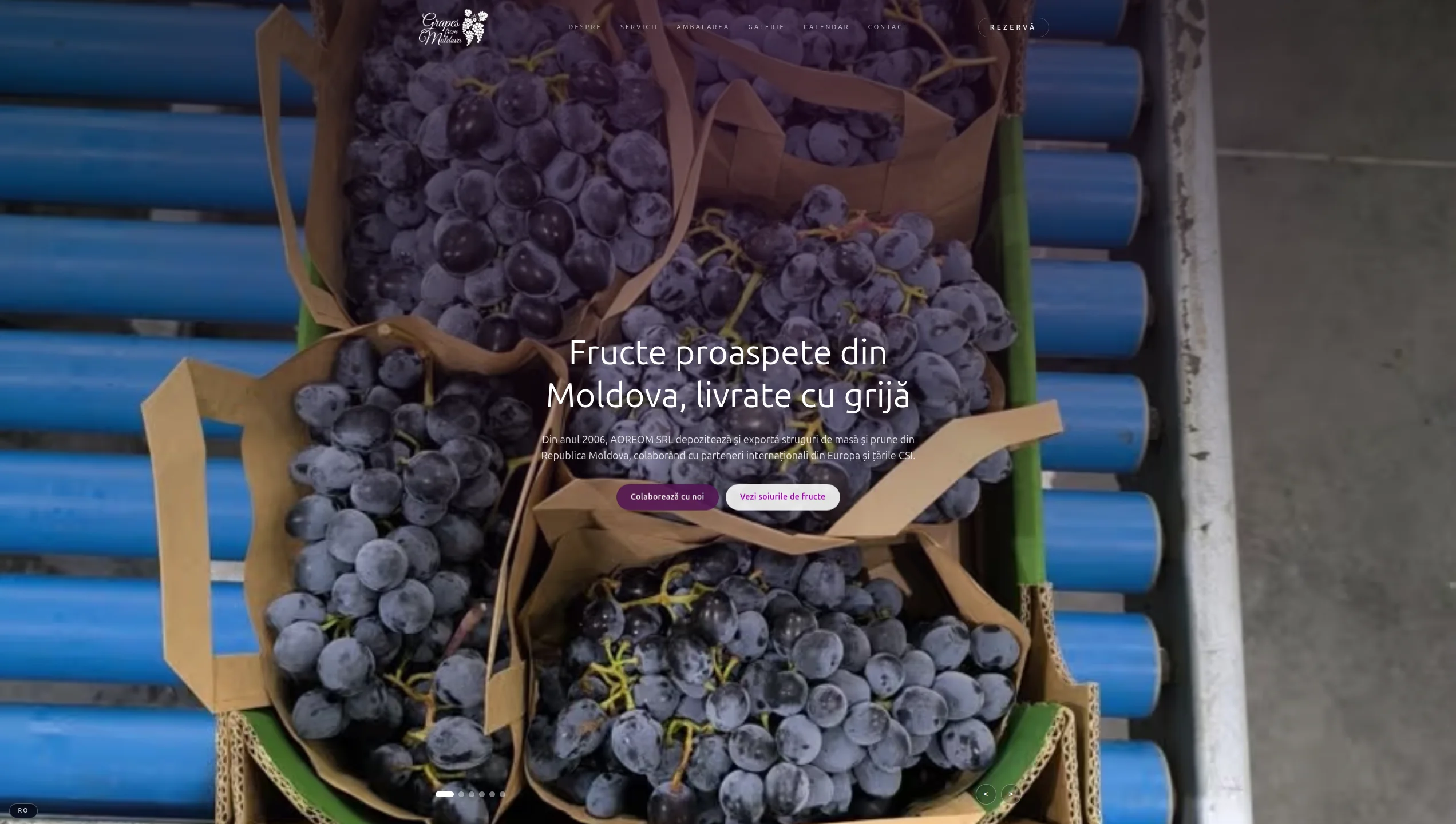 Grapes from Moldova – site web