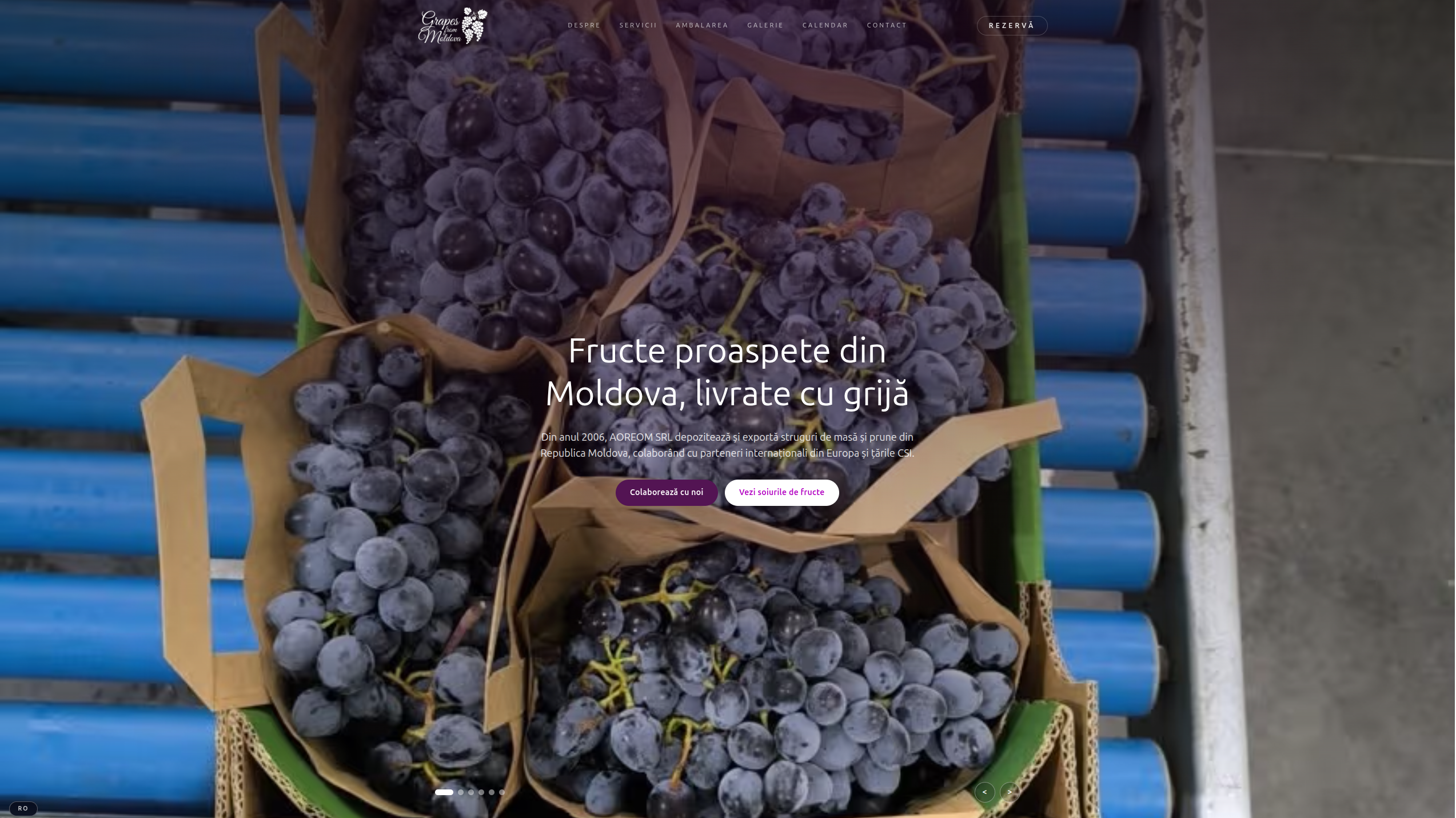 Grapes from Moldova homepage