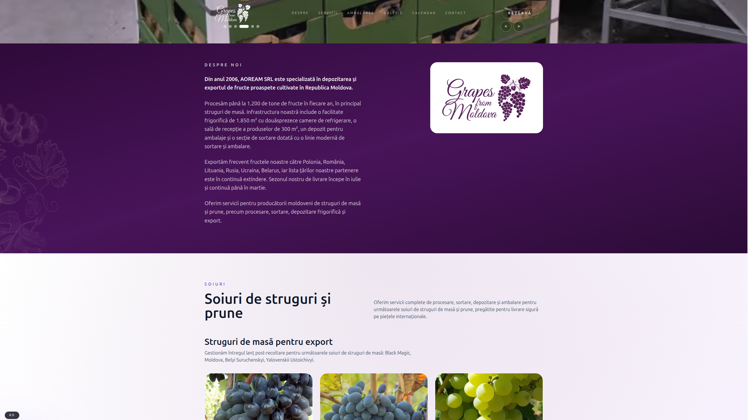 Grapes from Moldova website section