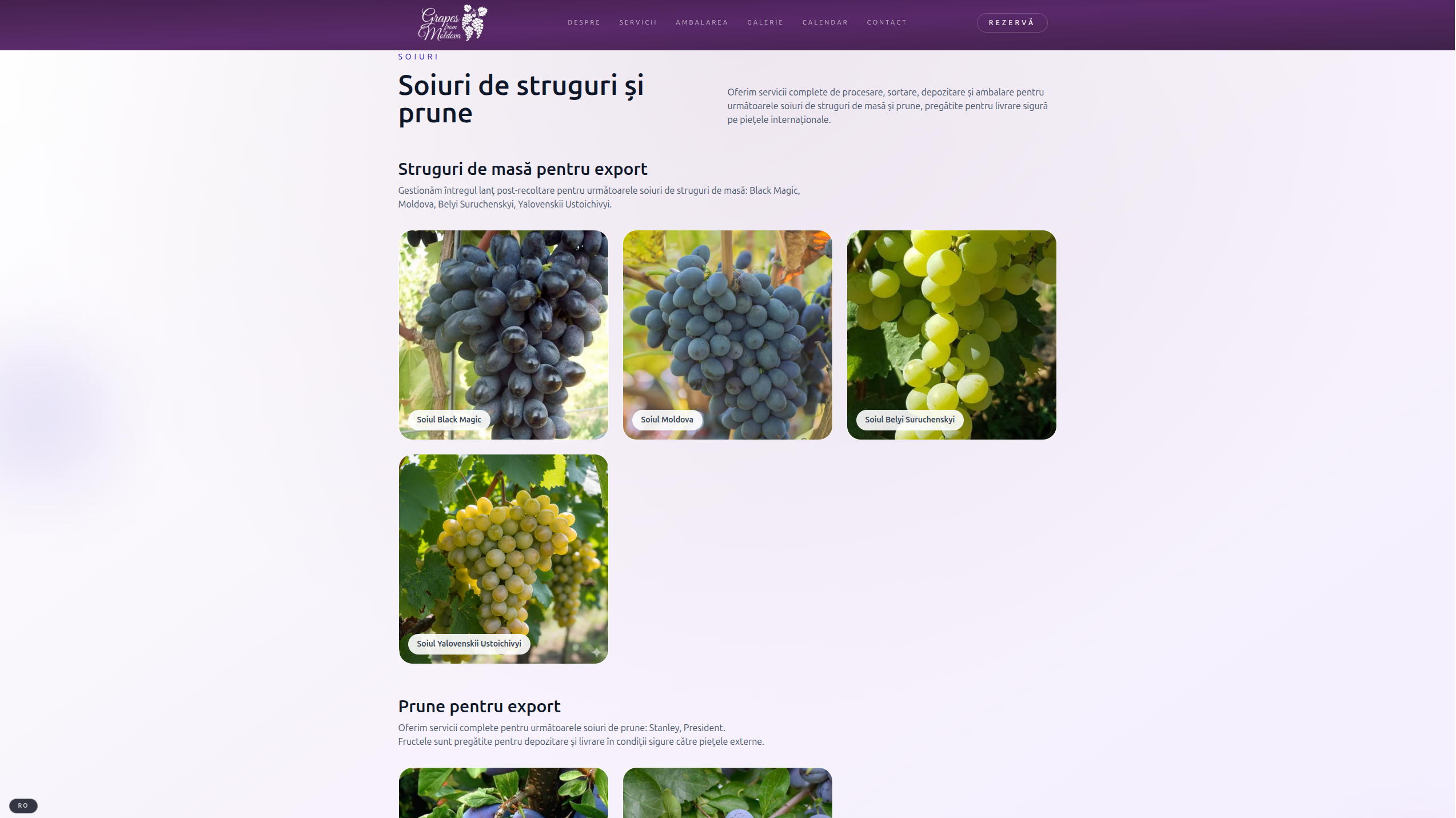 Grapes from Moldova content section