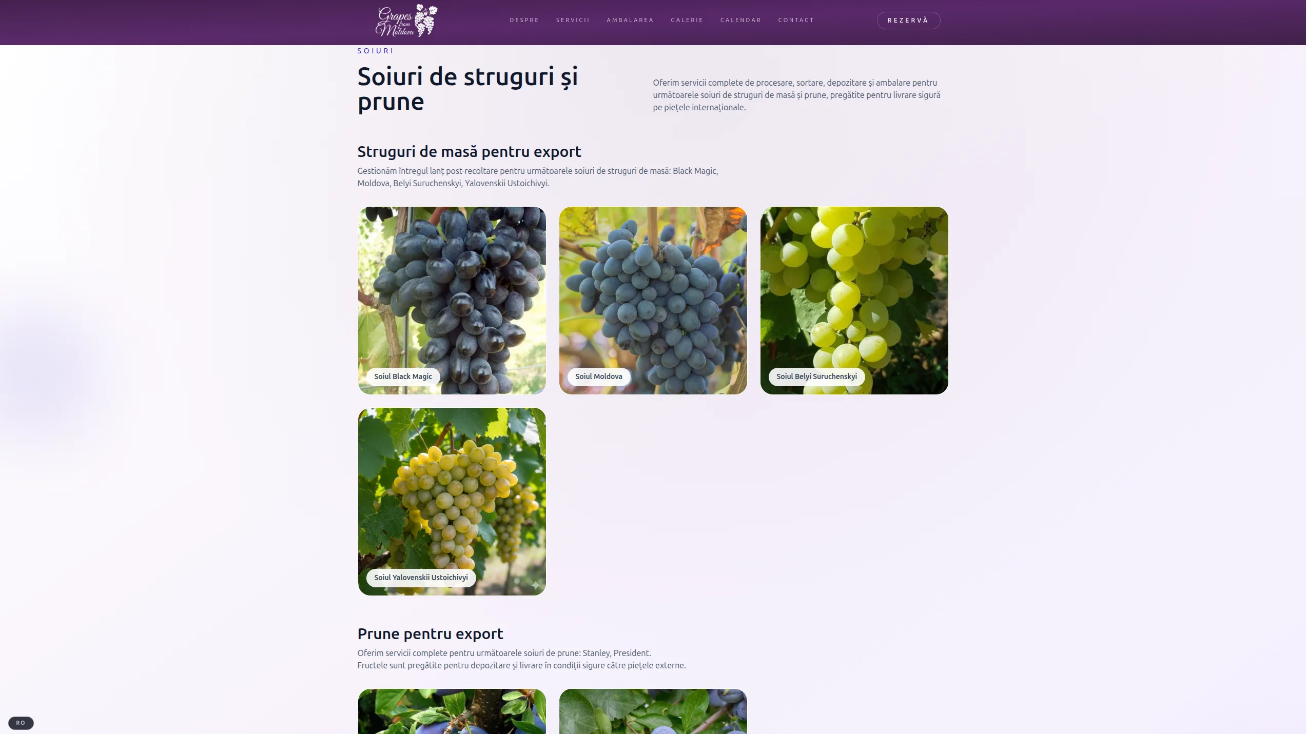 Grapes from Moldova – secțiune de conținut